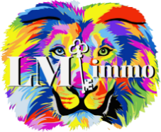 LM Immobilier